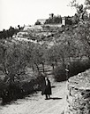 Joe walking at Vincigliata Castle, Florence, Italy